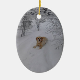 Décoration En Céramique Laboratoire jaune détendant dans la neige fraîch