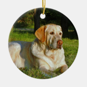 Décoration En Céramique Labrador retriever jaune