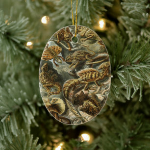Décoration En Céramique Lacertilia par Ernst Haeckel Lézards Animaux Vinta