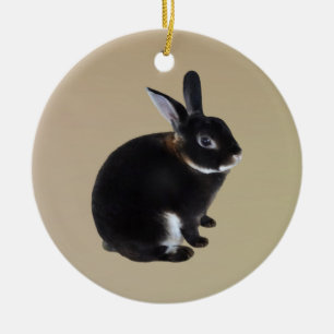 Décoration En Céramique Lapin Mini Rex Brown foncé et blanc