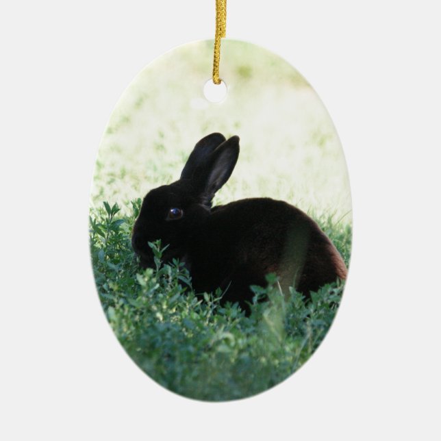 Décoration En Céramique Lapin noir de Lil (Devant)