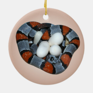 Décoration En Céramique Le kingsnake gris-réuni