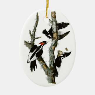 Décoration En Céramique Le pivert Ivoire-affiché d'Audubon