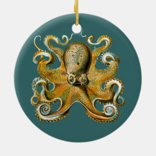 Décoration En Céramique Le poulpe d'Ernst Haeckel
