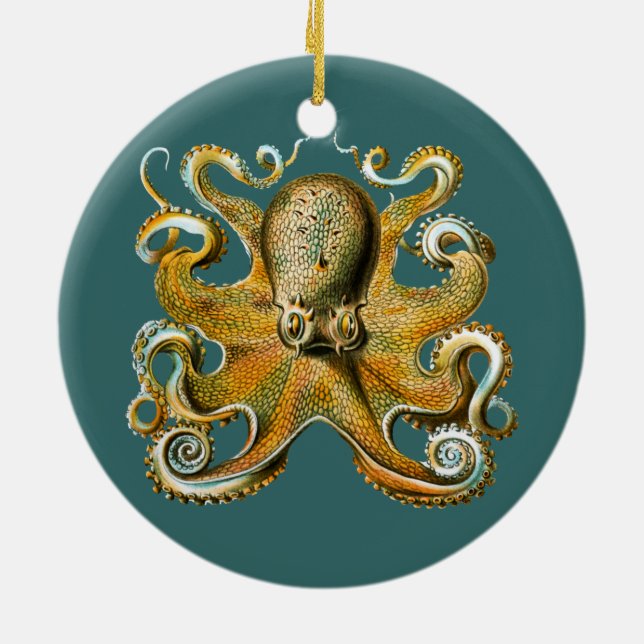 Décoration En Céramique Le poulpe d'Ernst Haeckel (Dos)