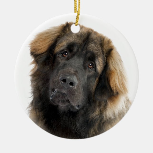 Décoration En Céramique Leonberger (Devant)