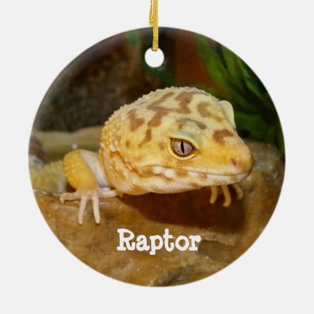 Décoration En Céramique Leopard personnalisé Gecko Lizard (Dos)