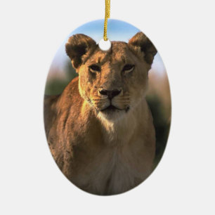 Décoration En Céramique Les amoureux du lion Noël