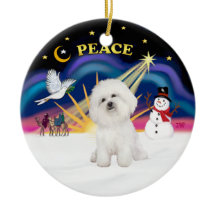 Lever de soleil de Noël - Bichon Frise 4