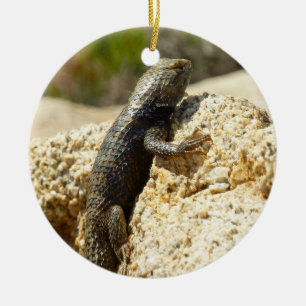 Décoration En Céramique Lézard épineux à dos jaune à Joshua Tree