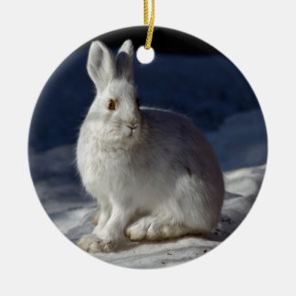 Décoration En Céramique Lièvres de raquette d'Alaska