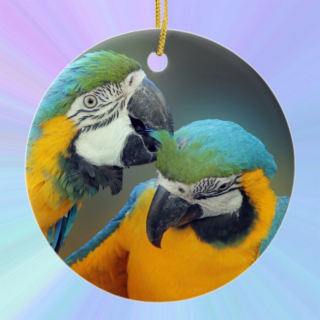 Décoration En Céramique Macaws in love (Créateur téléchargé)