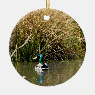 Décoration En Céramique Mallard Drake