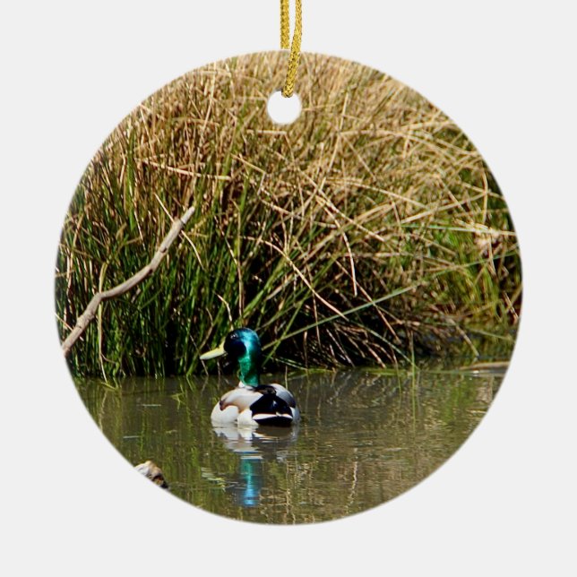 Décoration En Céramique Mallard Drake (Devant)