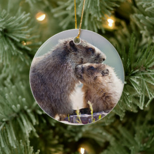 Décoration En Céramique Marmotte mère avec bébé