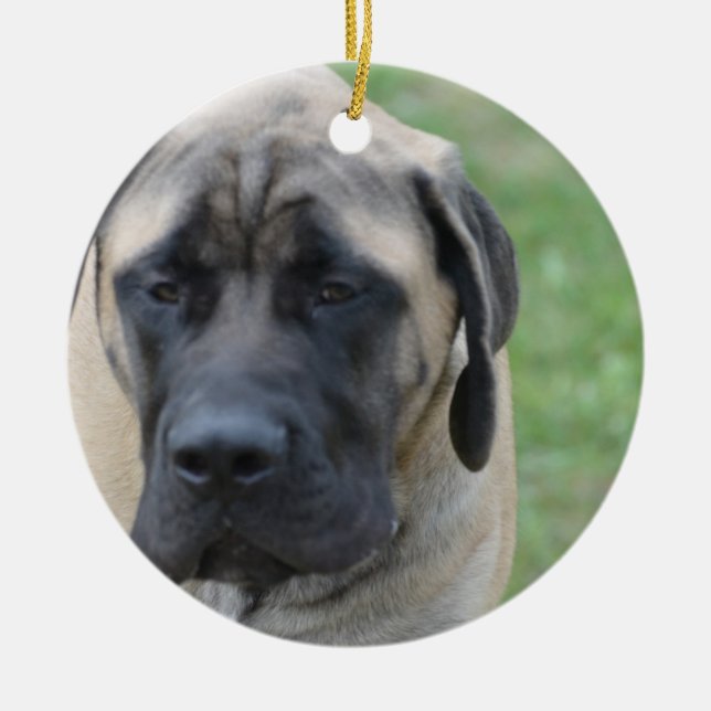 Décoration En Céramique Mastiff anglais mignon (Devant)