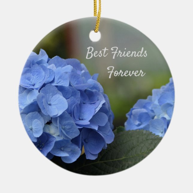 Décoration En Céramique Meilleurs amis pour toujours Hydrangeas (Devant)