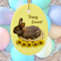 Mignonne lapin bébé - lapin de pâques