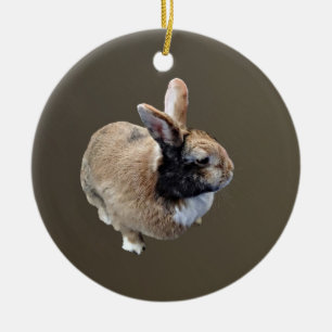 Décoration En Céramique Mini Rex Rabbit