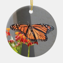 Monarque ornament