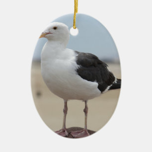 Décoration En Céramique Mouette