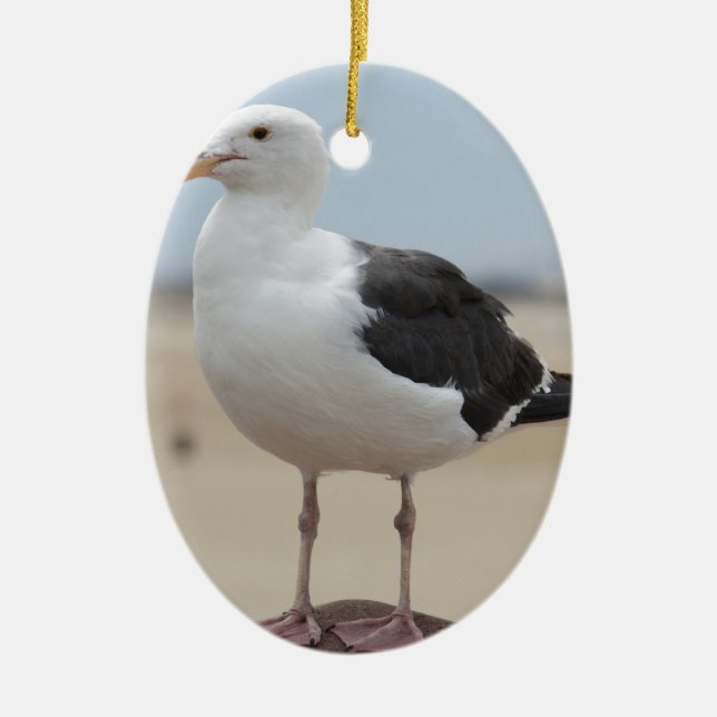 Décoration En Céramique Mouette (Devant)