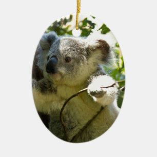 Décoration En Céramique Nature de destin d'Aussi d'ours de koala à