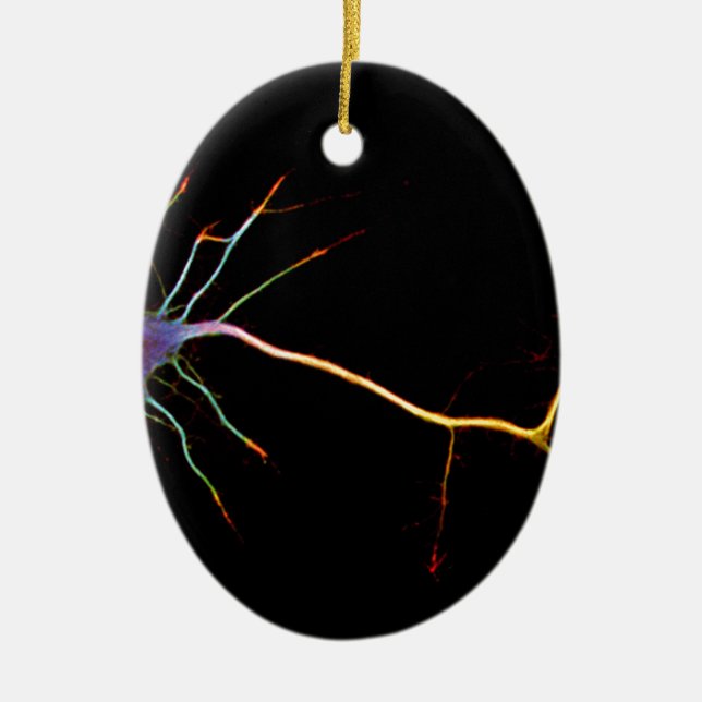 Décoration En Céramique Neuroscience, neuron, science (Devant)