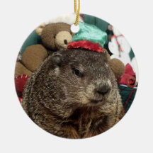 NEW ! Ordre de Groundhog Moses