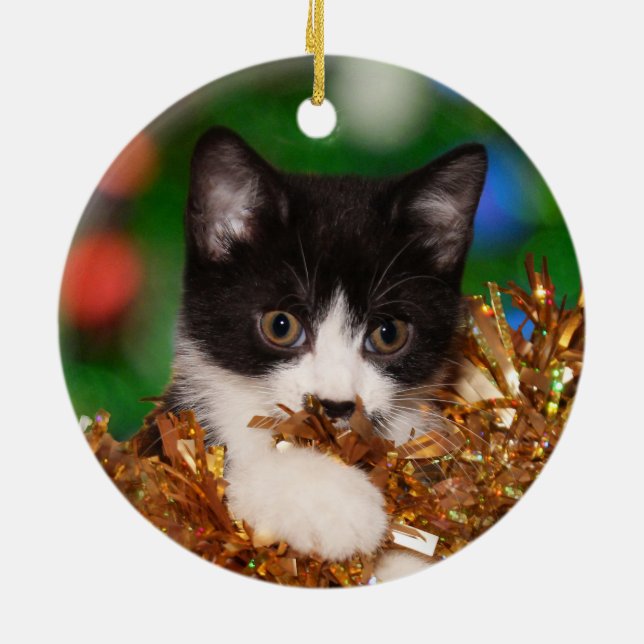 Décoration En Céramique Noël à chaton Tuxedo (Dos)