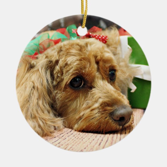 Décoration En Céramique Noël - Cockapoo - Odie (Devant)