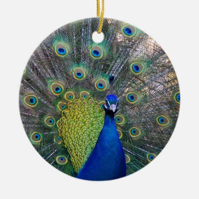 Décoration En Céramique Noël de Peacock (Devant)