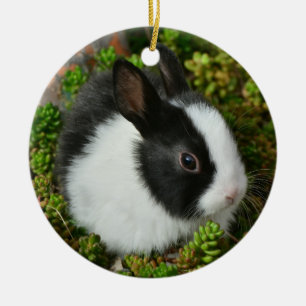 Décoration En Céramique Noir et blanc Néerlandais nain Mini lapin lapin