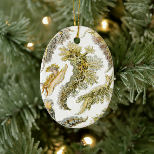 Décoration En Céramique Nudibranches vintage, limaces de mer par Ernst Hae