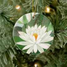 Nymphaea lotus, Arbre