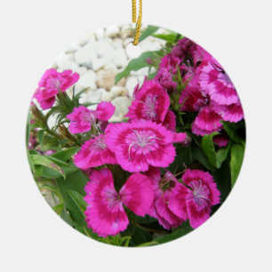 Décoration En Céramique Oeillet rose/William doux
