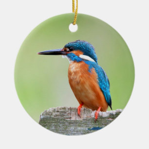 Décoration En Céramique Oiseau de martin-pêcheur