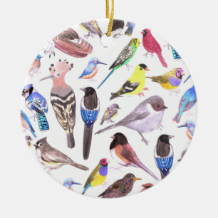 Décoration En Céramique Oiseaux d'Amérique - animaux de compagnie et oise