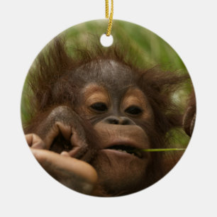 Décoration En Céramique Orangutan Baby