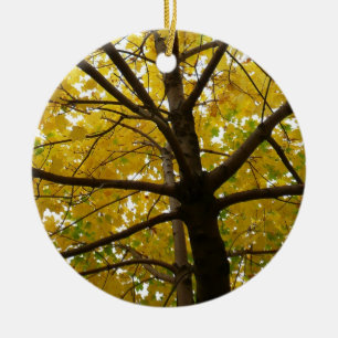 Décoration En Céramique Paire d'érables jaunes Nature d'automne