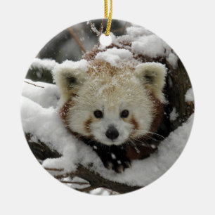 Décoration En Céramique Panda Bearcub de Fox rouge