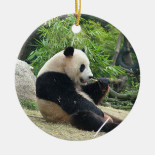 Décoration En Céramique Panda géant dans un zoo d'animaux sauvages photogr