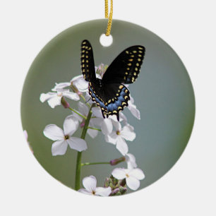 Décoration En Céramique Papillon noir de machaon