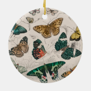 Décoration En Céramique Papillons Collection Antique Papillons