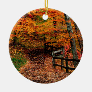 Décoration En Céramique Parc d'état de crique de Mccormick d'automne