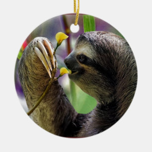 Décoration En Céramique Paresse d'arbre Trois-Bottée avec la pointe du