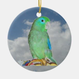Décoration En Céramique Parrotlet Spectaculaire