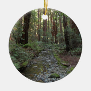 Décoration En Céramique Paysage forestier du ruisseau de Muir Woods