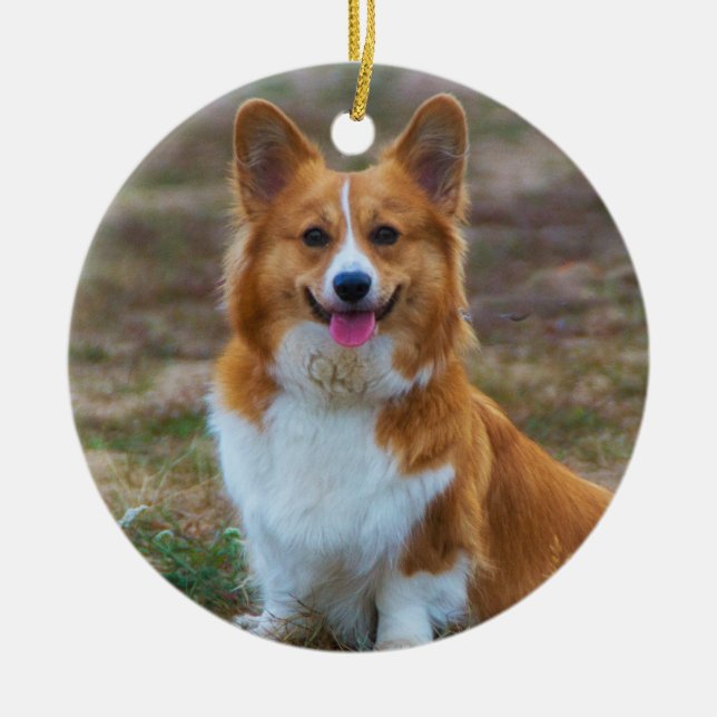 Décoration En Céramique Pembroke Welsh corgi Chien (Devant)