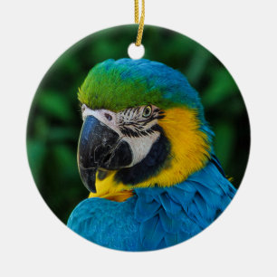 Décoration En Céramique Perroquet bleu et jaune